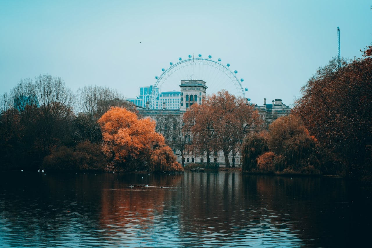 Autumn trees and a path through a London park