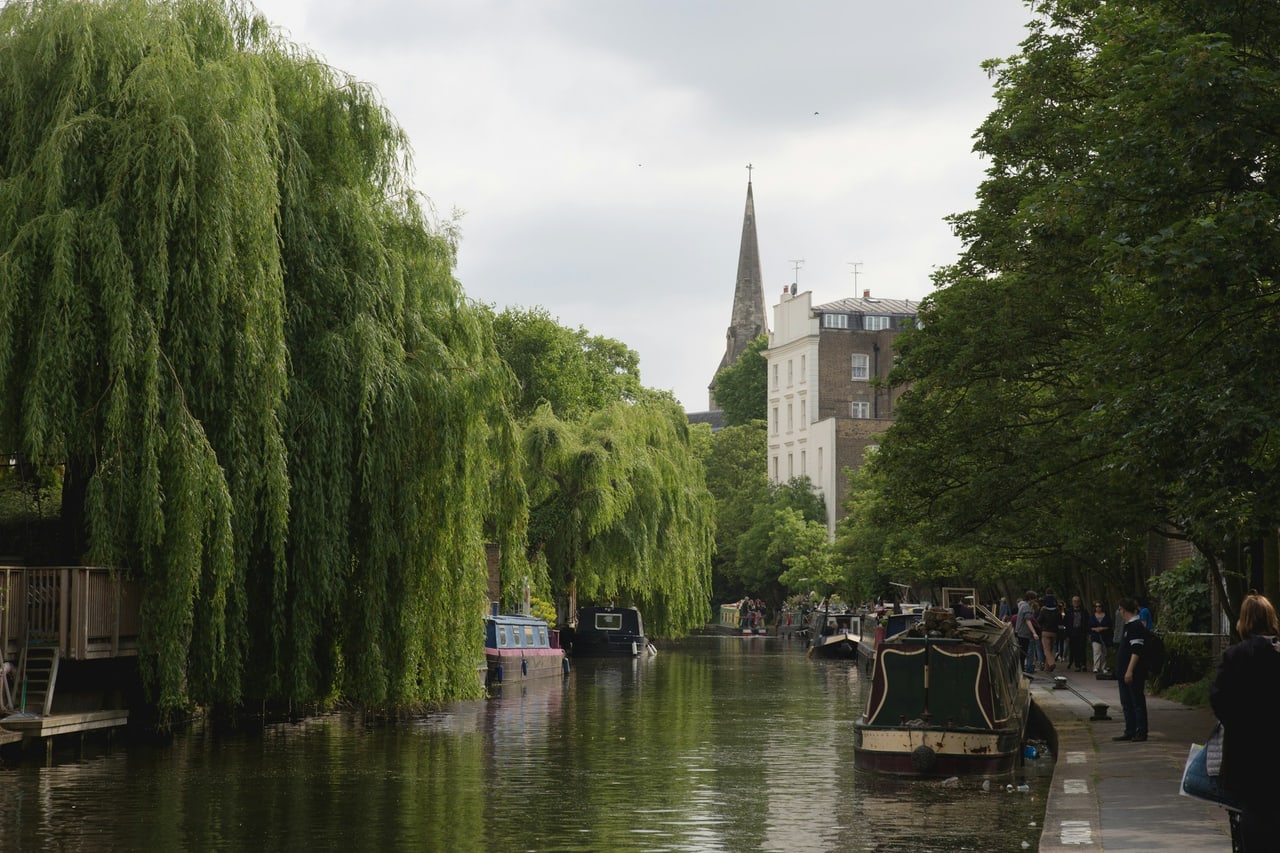 Willow trees over the water on the Regent's Canal in London